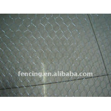 Galvanized Hexagonal Wire mesh